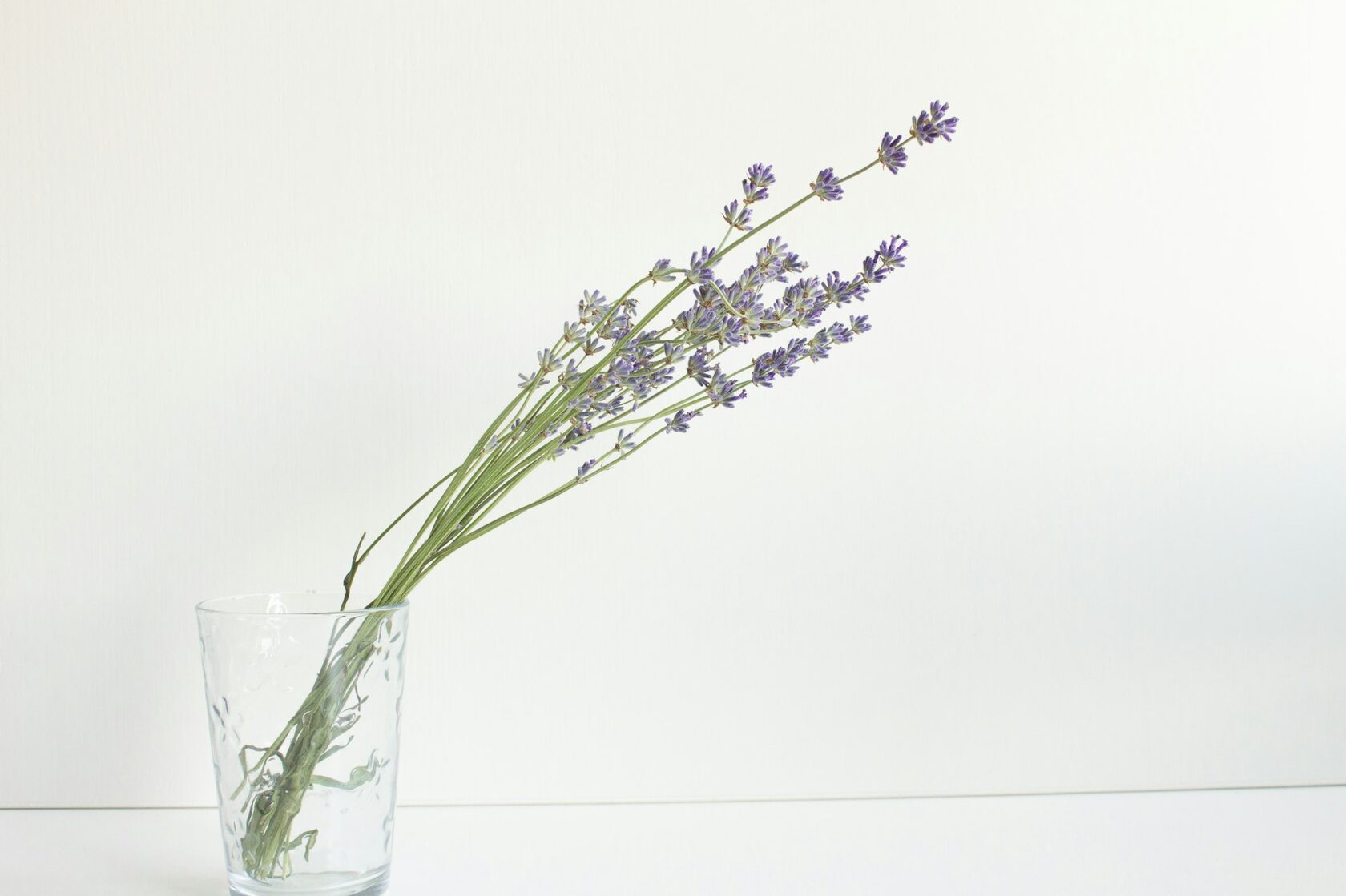 Arranjo de lavanda e eucalipto